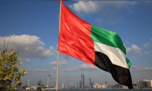 UAE announces citizenship for skilled professionals, investors under new law